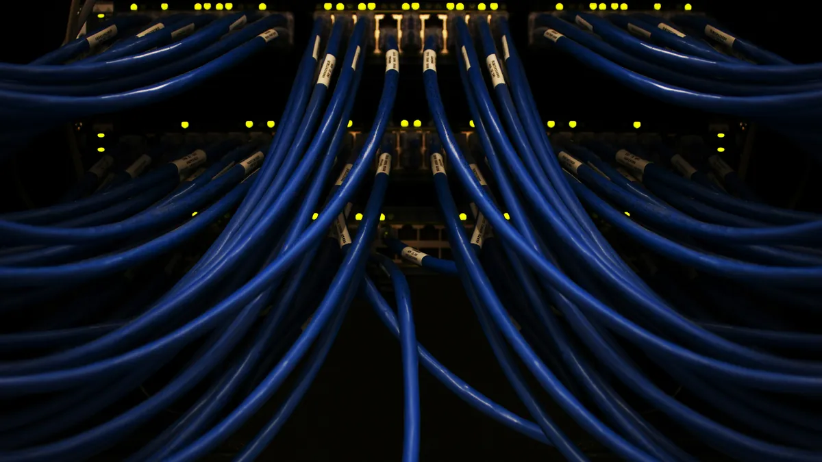 Bundle of blue network cables connected to networking equipment